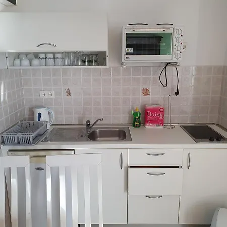 Apartment Ivanovic Vir
